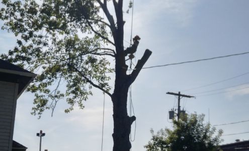 Treeman Tom LLC 3660 Irish Rd, Wilson New York 14172