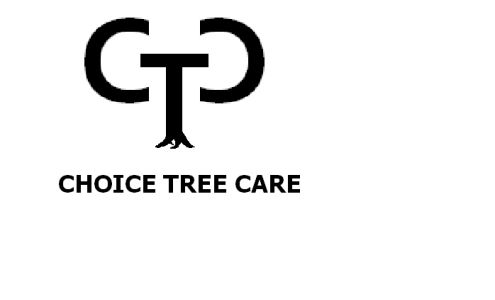Premier Tree Care
