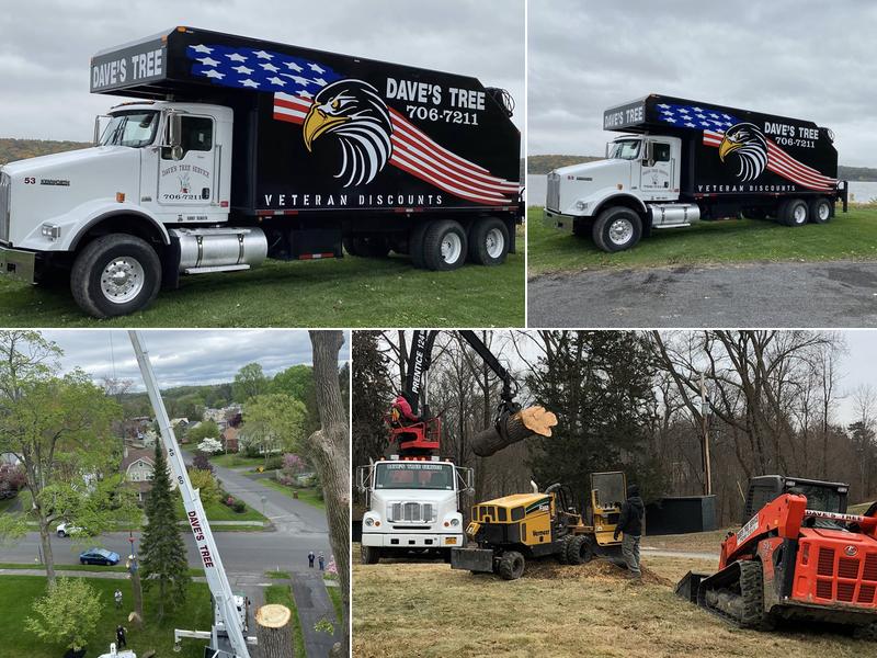 Dave's Tree Service