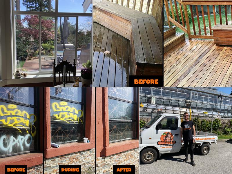 Gorilla Property Services