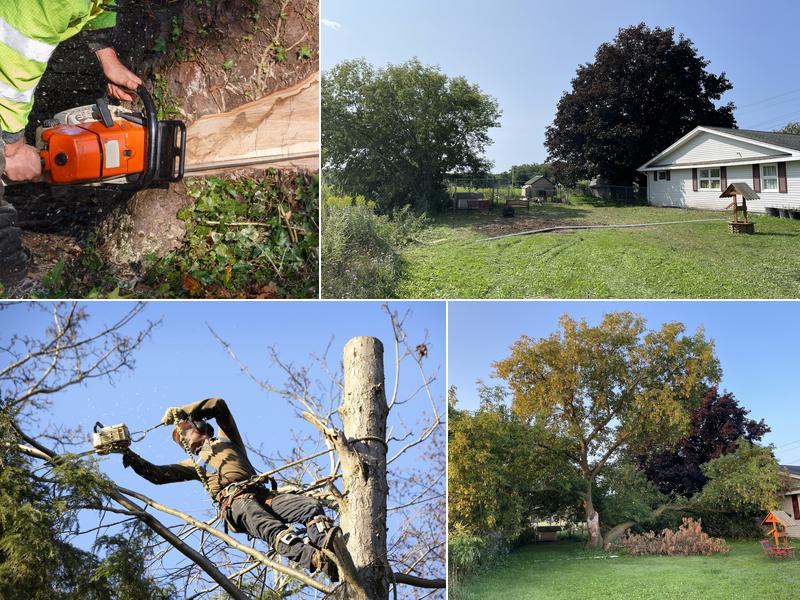 Ax Men Tree Service LLC