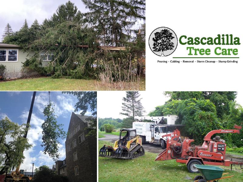Cascadilla Tree Care Of Ithaca, LLC