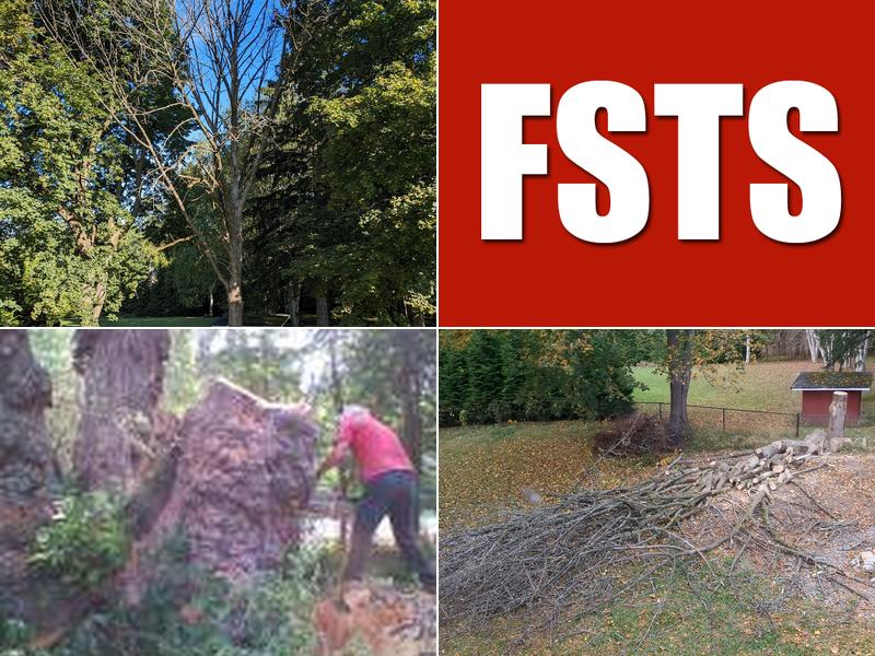 Four Seasons Tree Services