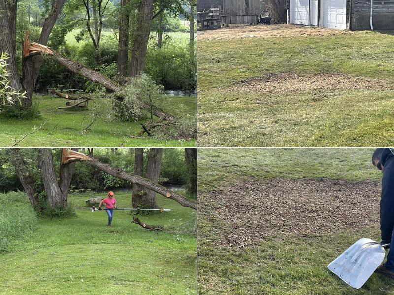 Windswept Tree Services