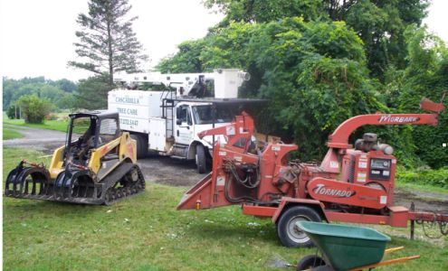 Cascadilla Tree Care