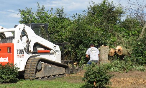 S & L Tree And Stump
