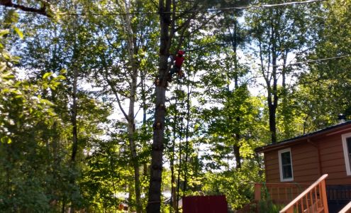 Brolex Tree Service 70 New St, Edwards New York 13635