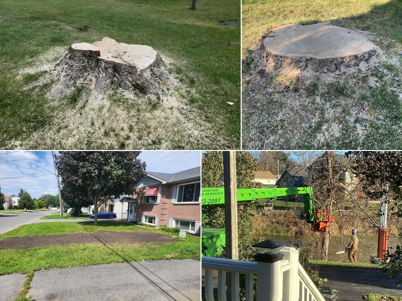 C & D Excavating and Tree Service