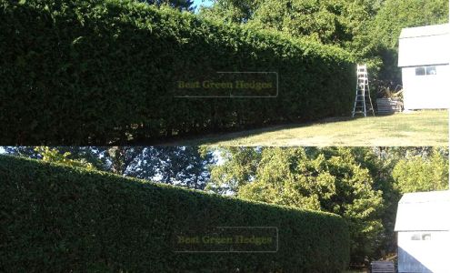 Best Green Hedges 5849 Third Line Rd N, North Gower Ontario K0A 2T0