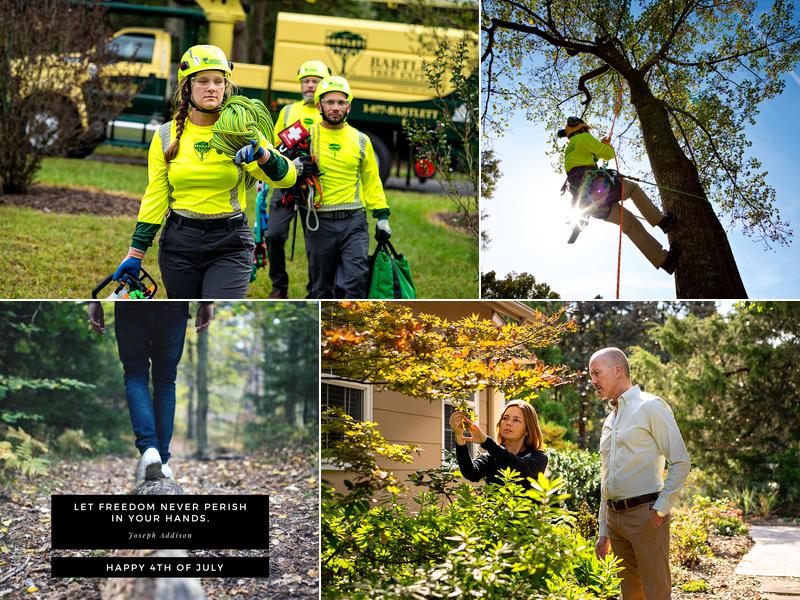 Bartlett Tree Experts