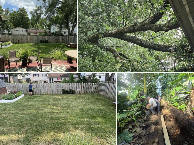 Cox Tree Services