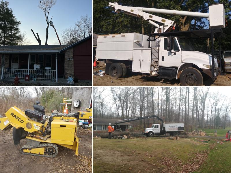 Arbor Care Tree Experts And Property Maintenance