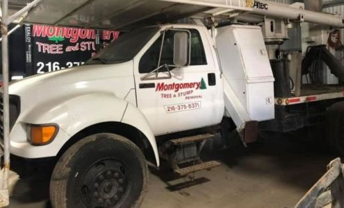 Montgomery Tree & Stump Removal