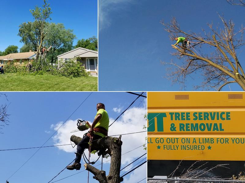 JT Tree Service and Removal LLC
