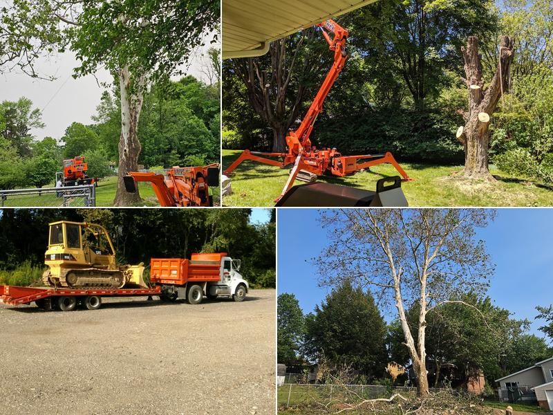Berens Tree & Excavating