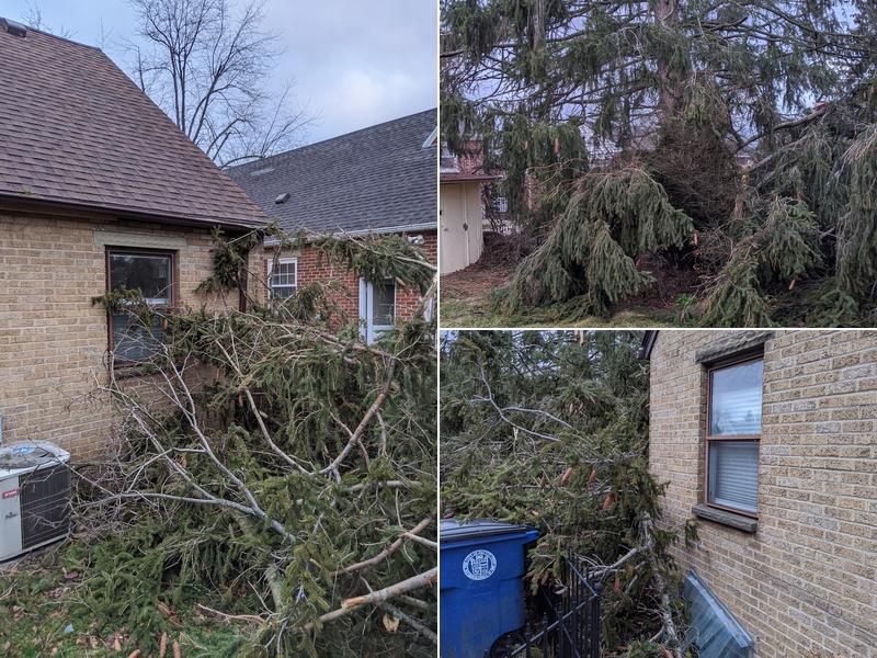 Cundiff Town and Country Tree Service