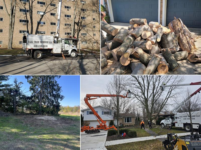 T&K Tree Service