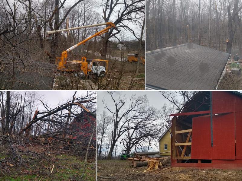 Ron's Tree Works LLC