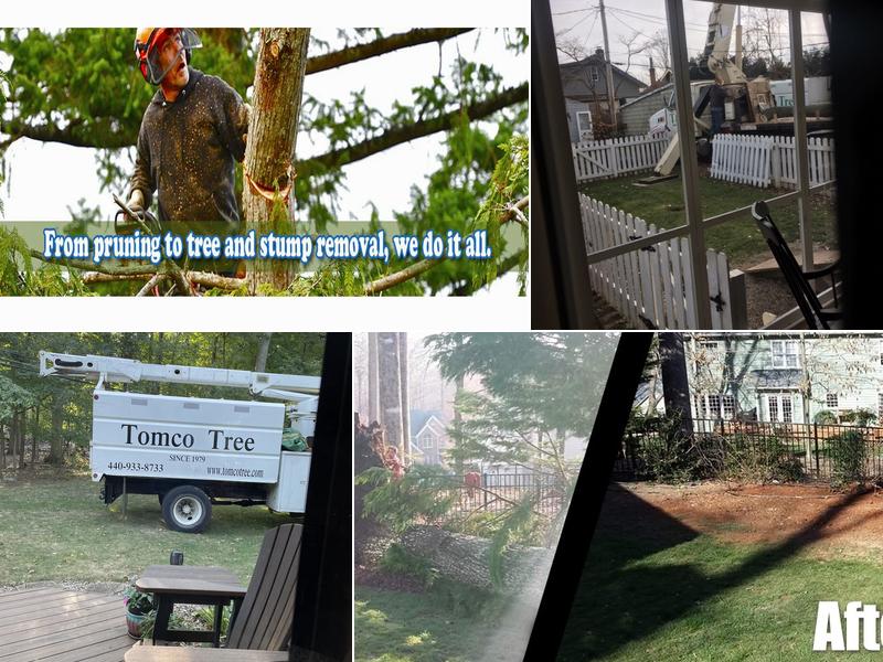 Tomco Tree Service