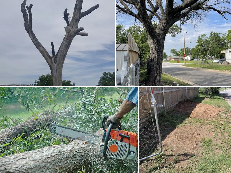 Forest Tree Service LLC