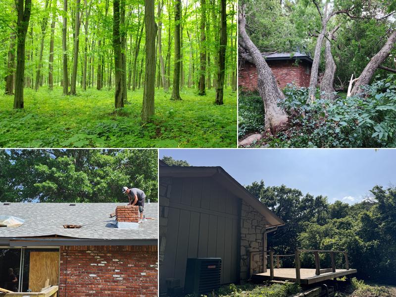 Midtown Tree Service