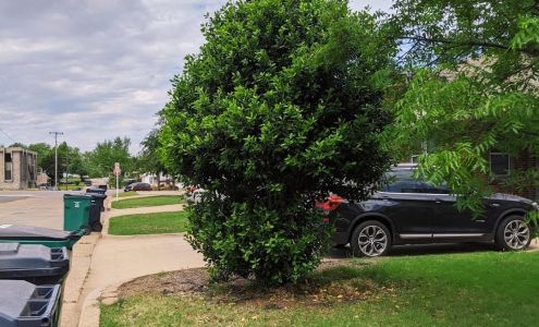 Bull's Tree Services 912 N Douglas Ave, Oklahoma City Oklahoma 73106