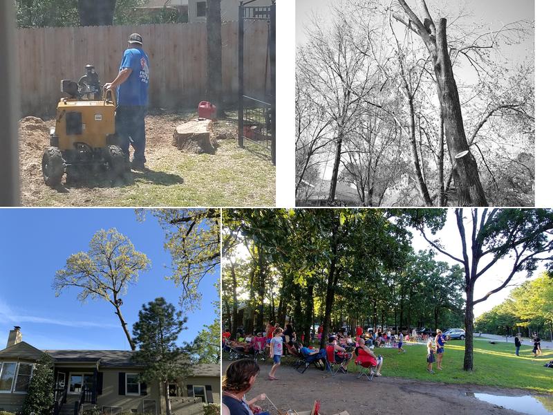 2 Brother's Tree Service