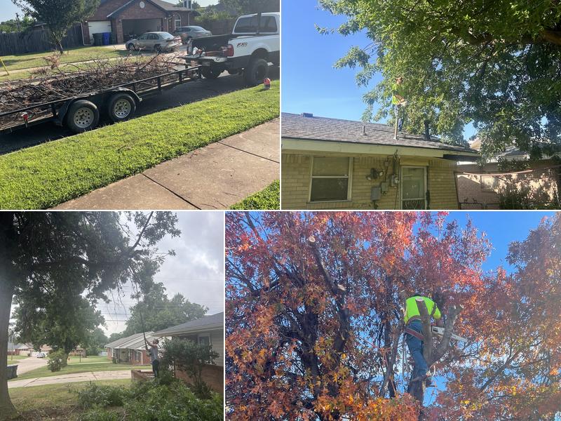 M&G Tree Service LLC