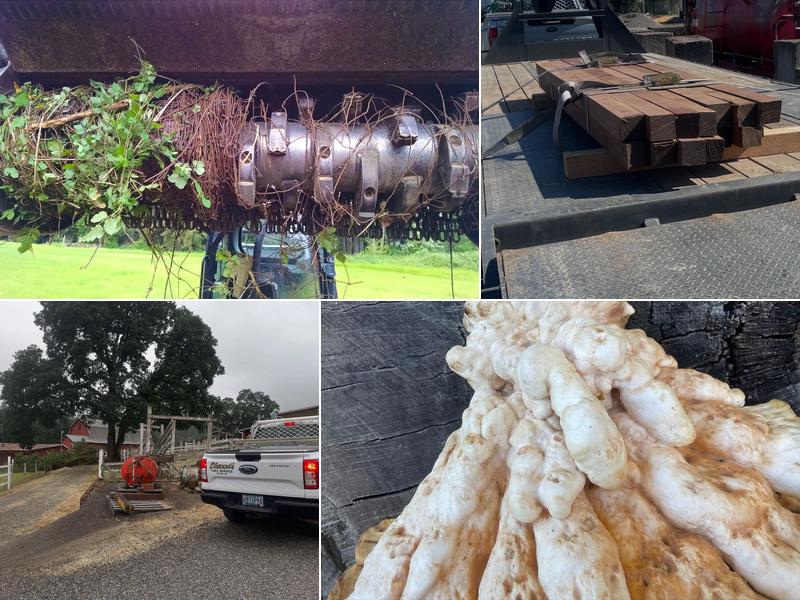 Elwood's Tree Service