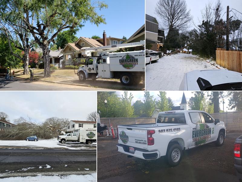 Evergreen Tree Services