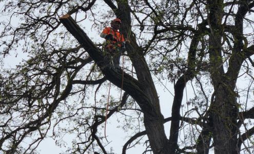 Gorge Arbor Care LLC