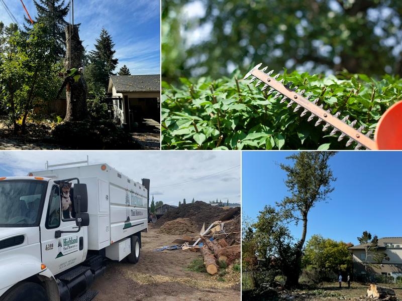 Highland Tree Service, LLC