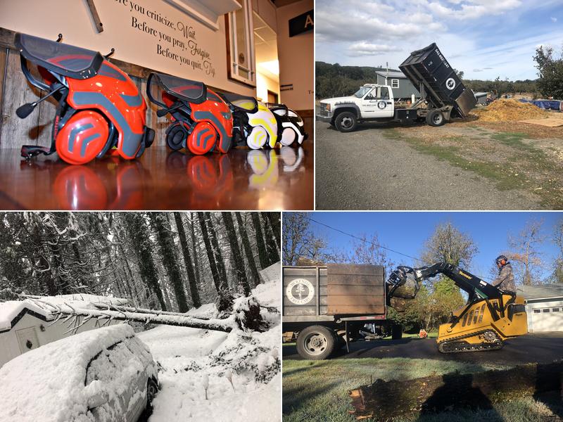 McKenzie Tree Care LLC