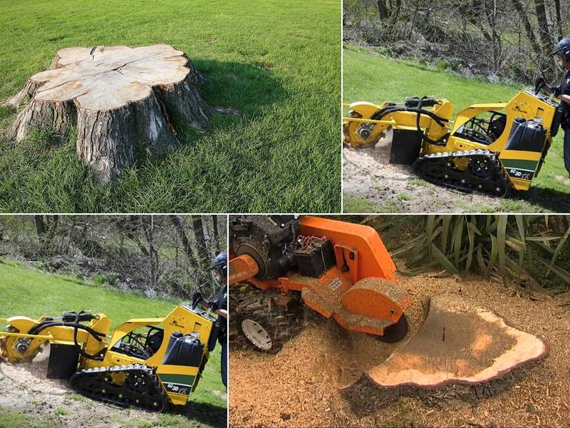 Emerald Stump Removal & Brush Chipping LLC