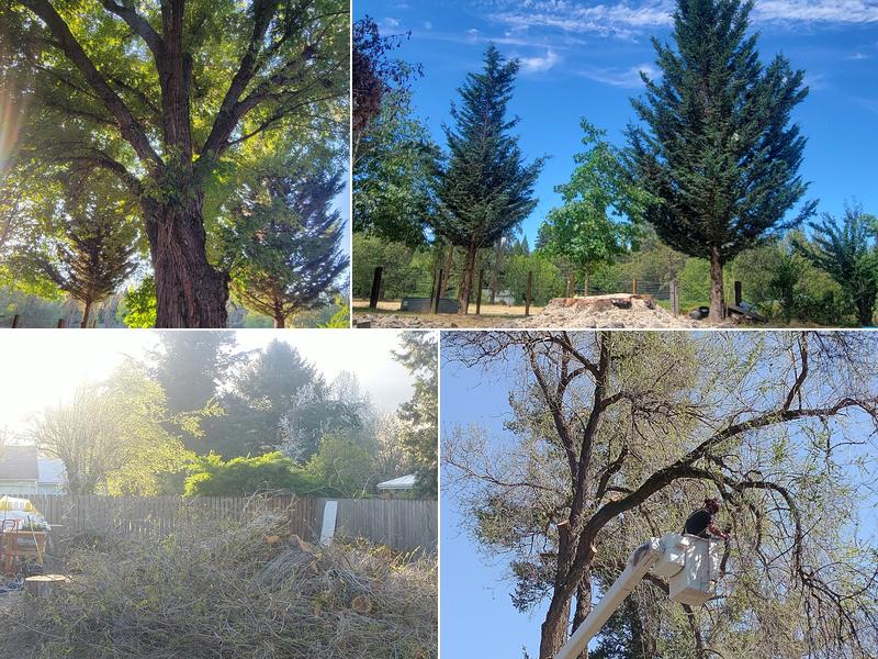 Eric's Tree Services LLC