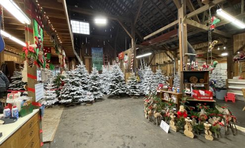 Bobz Tree Farm Estacada