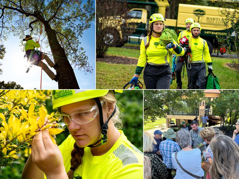 Bartlett Tree Experts
