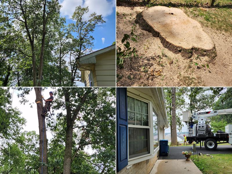 Green's Tree Service