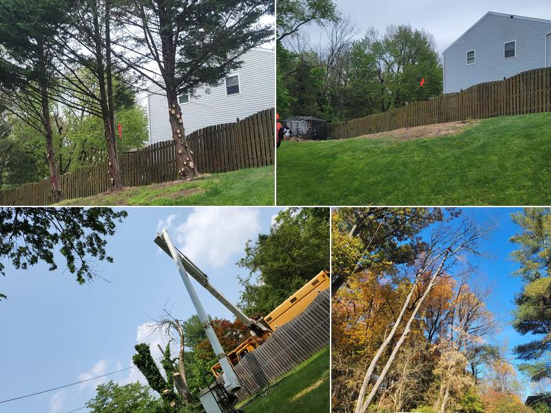 W&N Tree service Llc