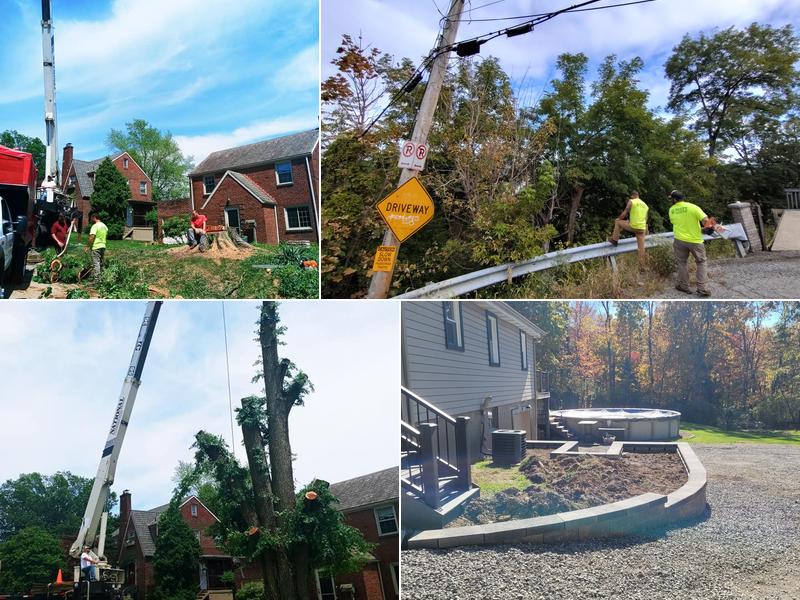 Gary & Sons Tree Service LLC