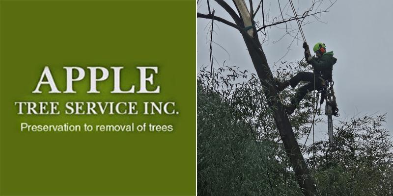 Apple Tree Service Inc