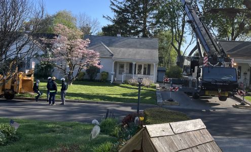 Kingkiner Tree Service