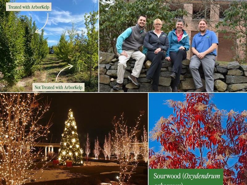 SavATree - Tree Service & Lawn Care