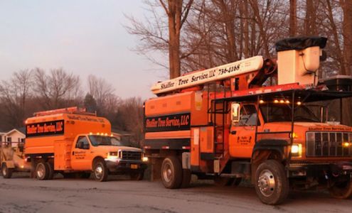 Shaffer Tree Services 512 Ribblet Rd, Portage Pennsylvania 15946