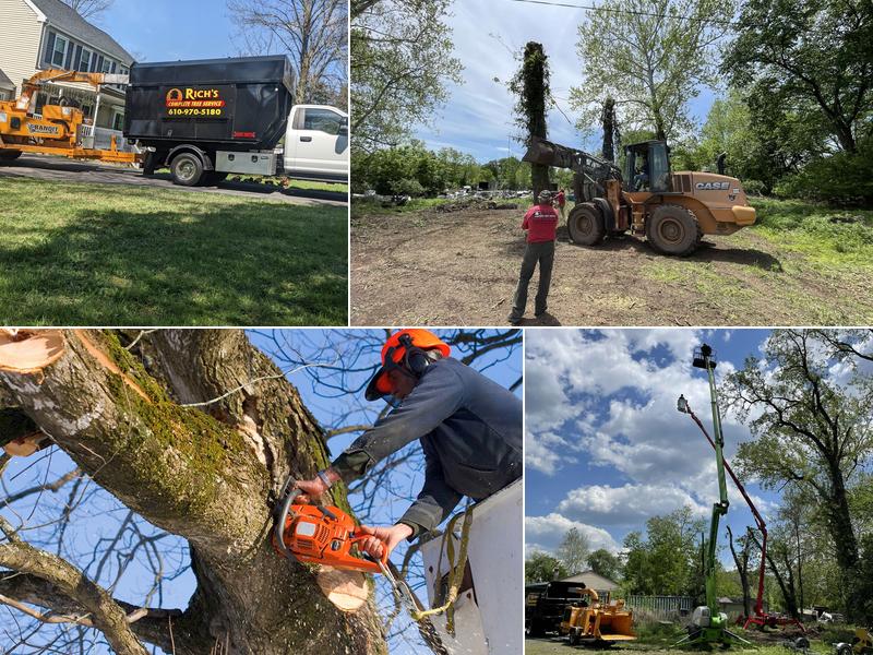 Rich's Complete Tree Service