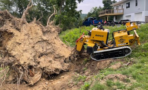 Mariano's Stump Grinding