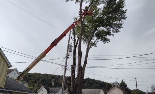 New View Tree Service 1290 Hamilton Corners Rd, Titusville Pennsylvania 16354