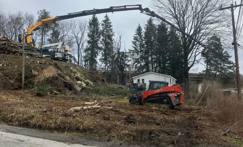 Arbor Pro's Tree Service 626 Anderson St, Curwensville Pennsylvania 16833