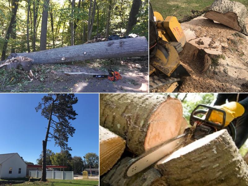 Franks Stump Grinding And Tree Service