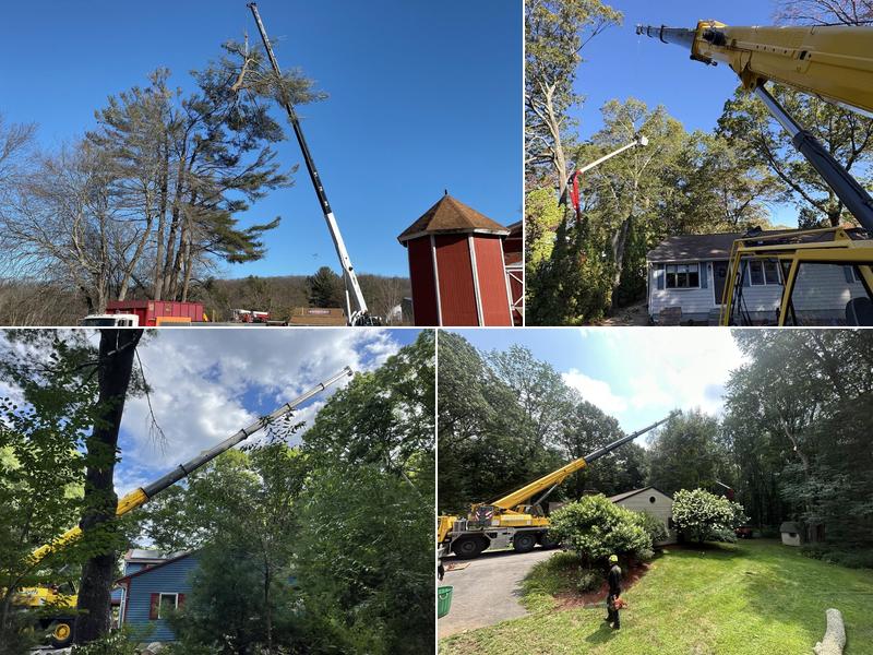 North Smithfield Tree Service
